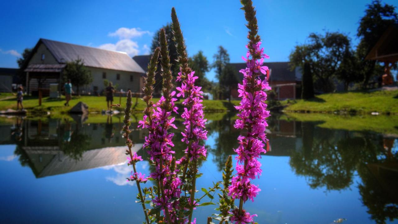 Glamping Vrhovc Hotel Zelezniki Buitenkant foto